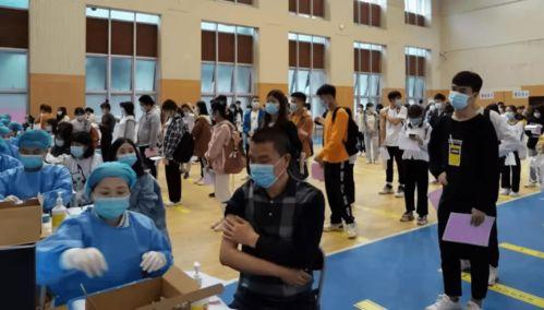 洪雅碧桂园爆料最新消息,揭秘项目进展与周边动态  第3张